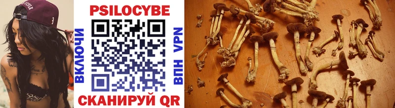 Галлюциногенные грибы Cubensis  Купить где  Зубцов 